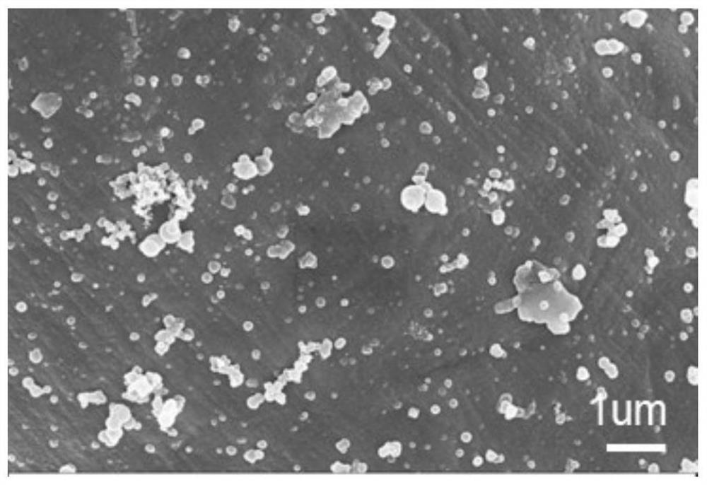 A kind of oil-water separation omentum and its preparation method and application