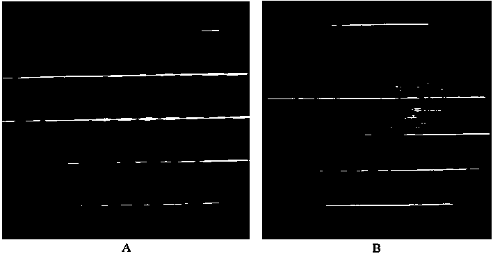 A kind of preparation method of light-transmitting bamboo chip