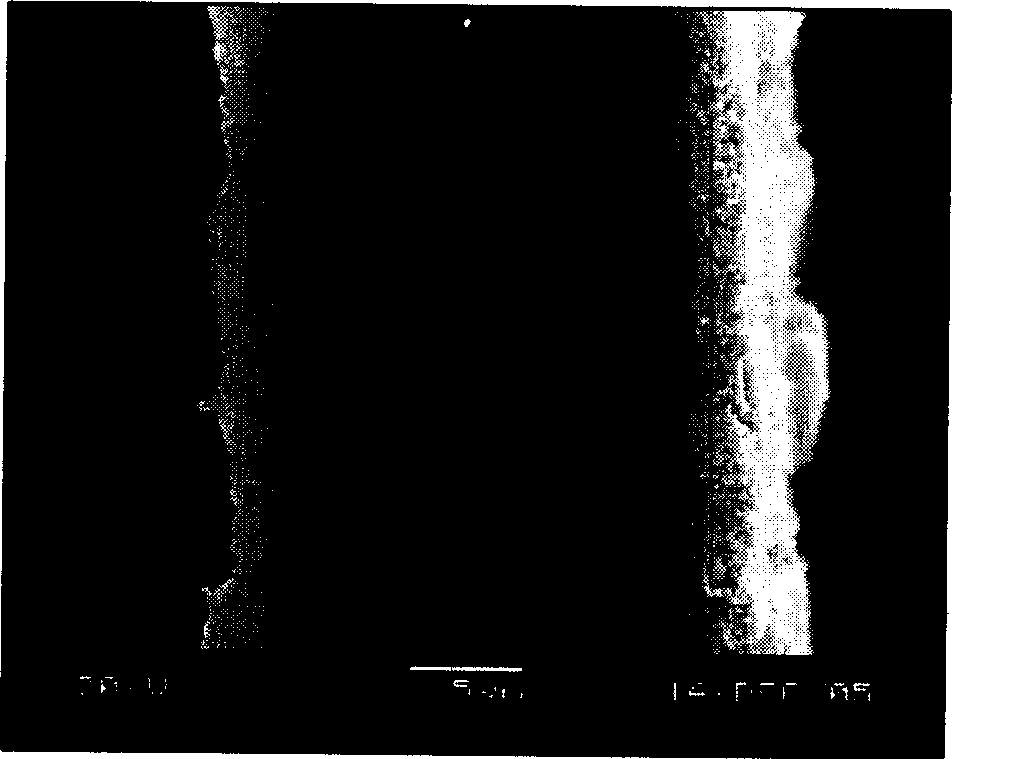 Preparation method of film electrode for solid polymer electrolyte water electrolysis