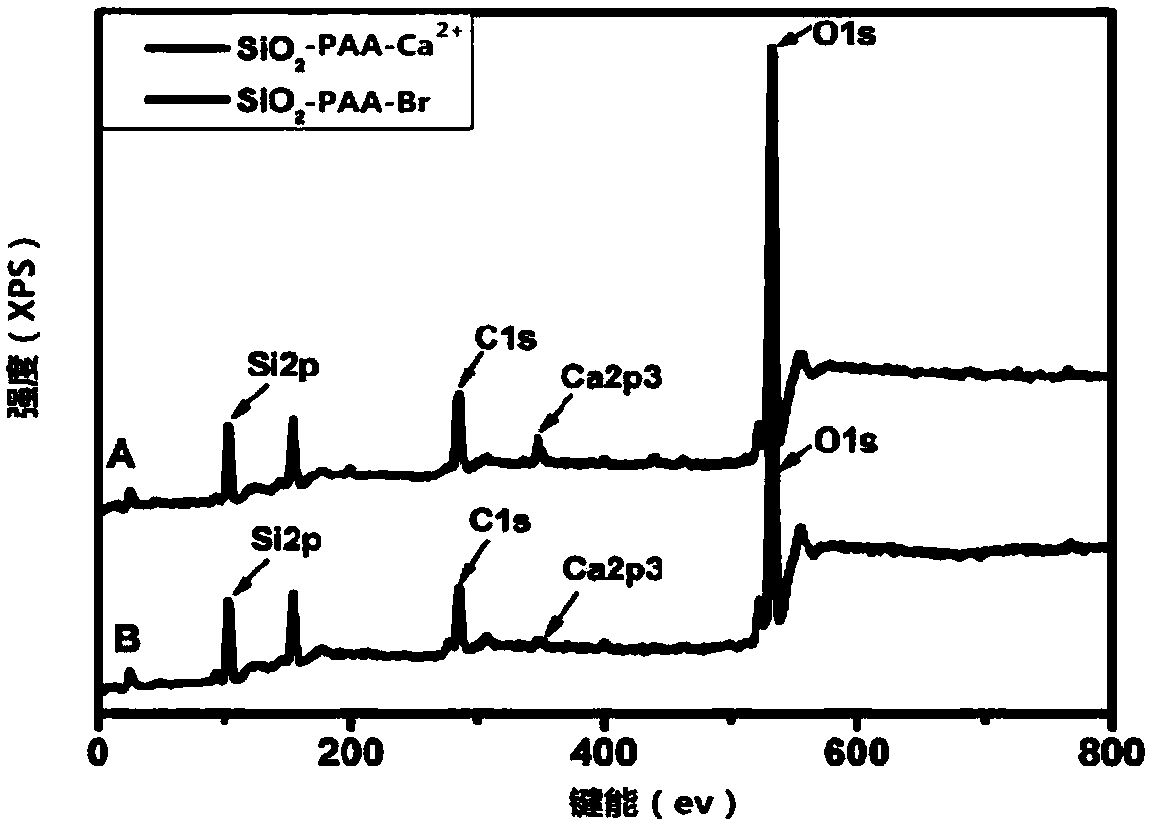 Microspheric ion exchange flash-rust-resistant anti-rust metal primer and preparation method thereof