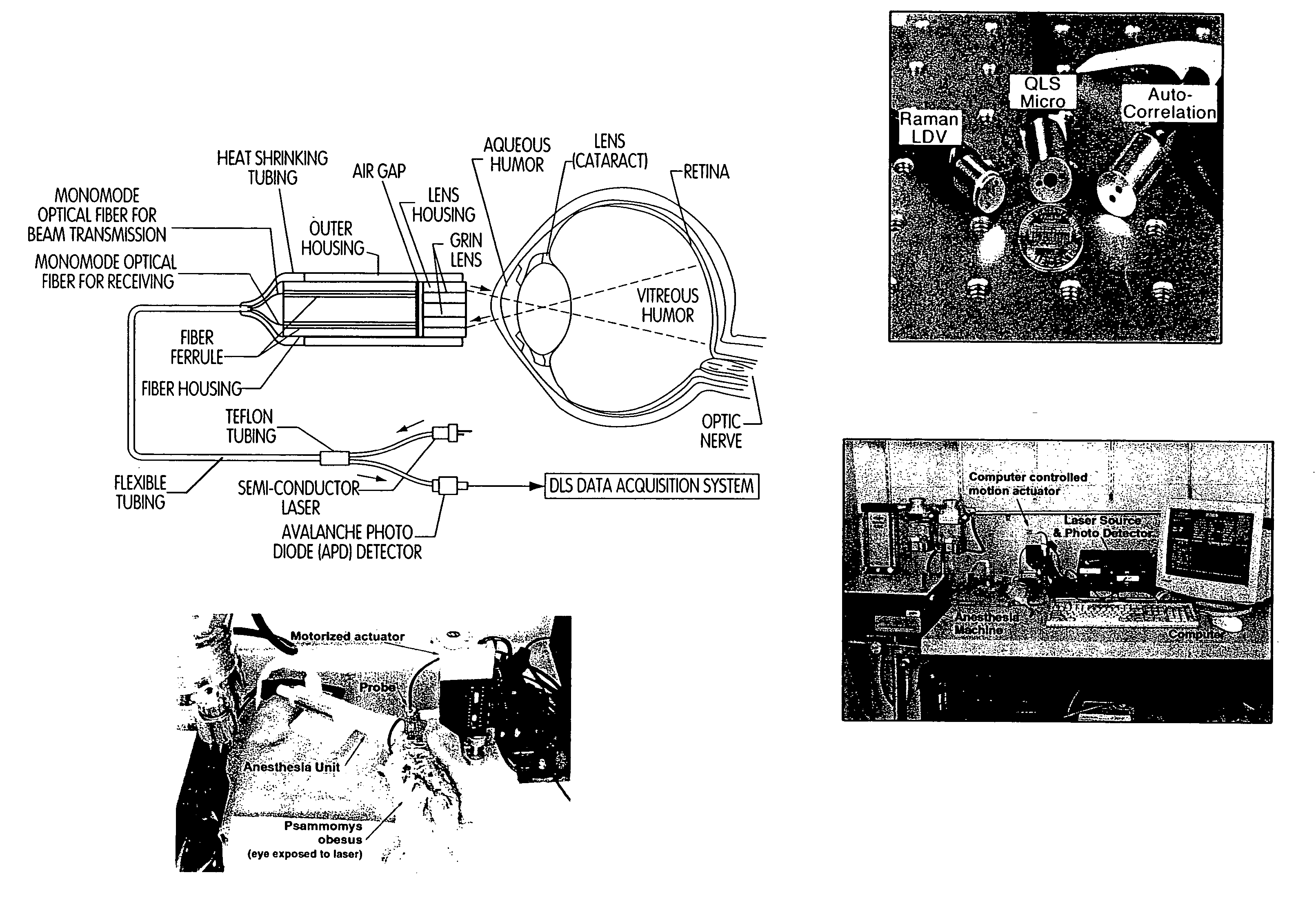 Methods for diagnosing a neurodegenerative condition