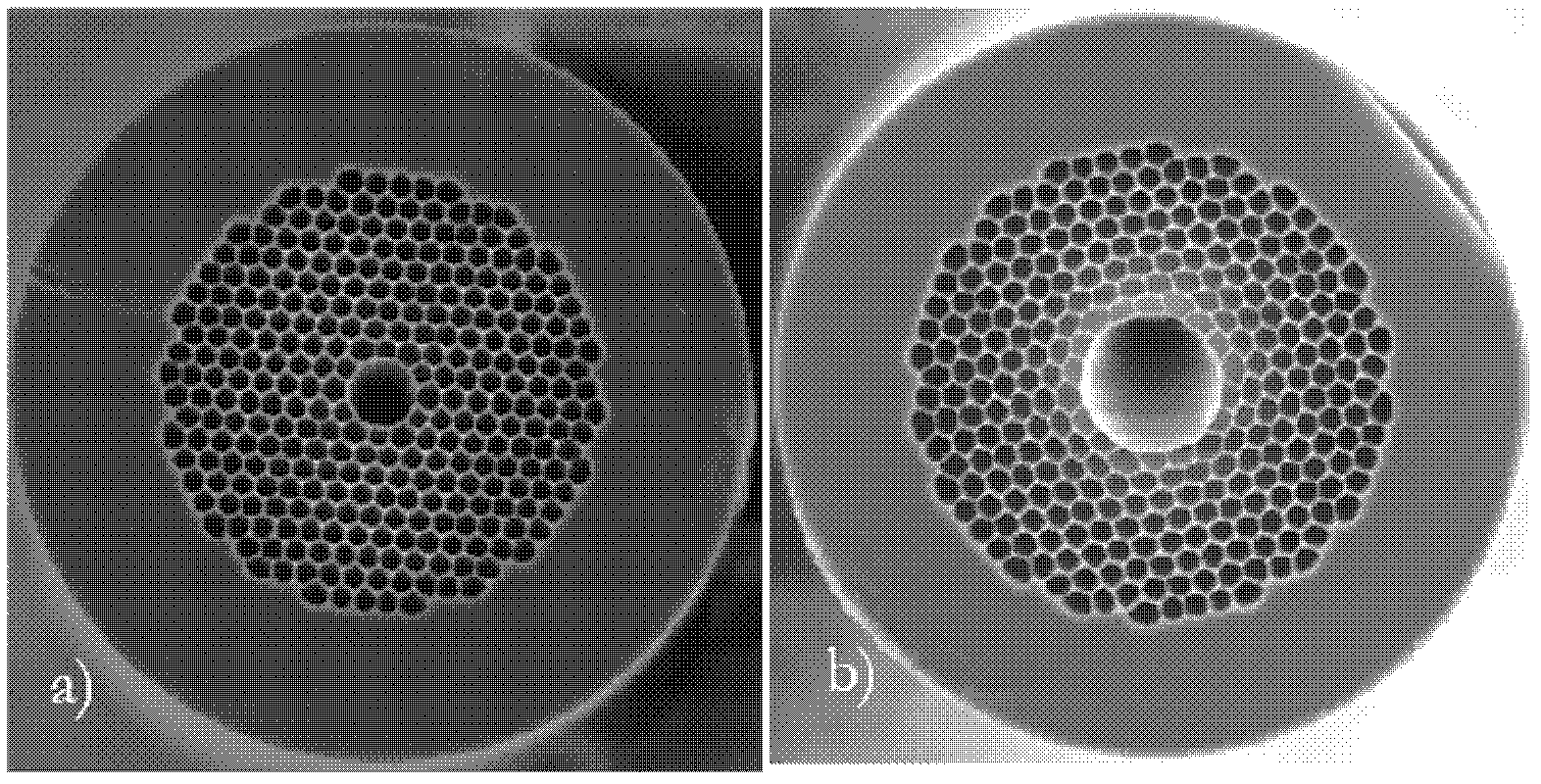 Hollow photon crystal optical fiber-based optical fiber-connected low-pressure gas chamber device