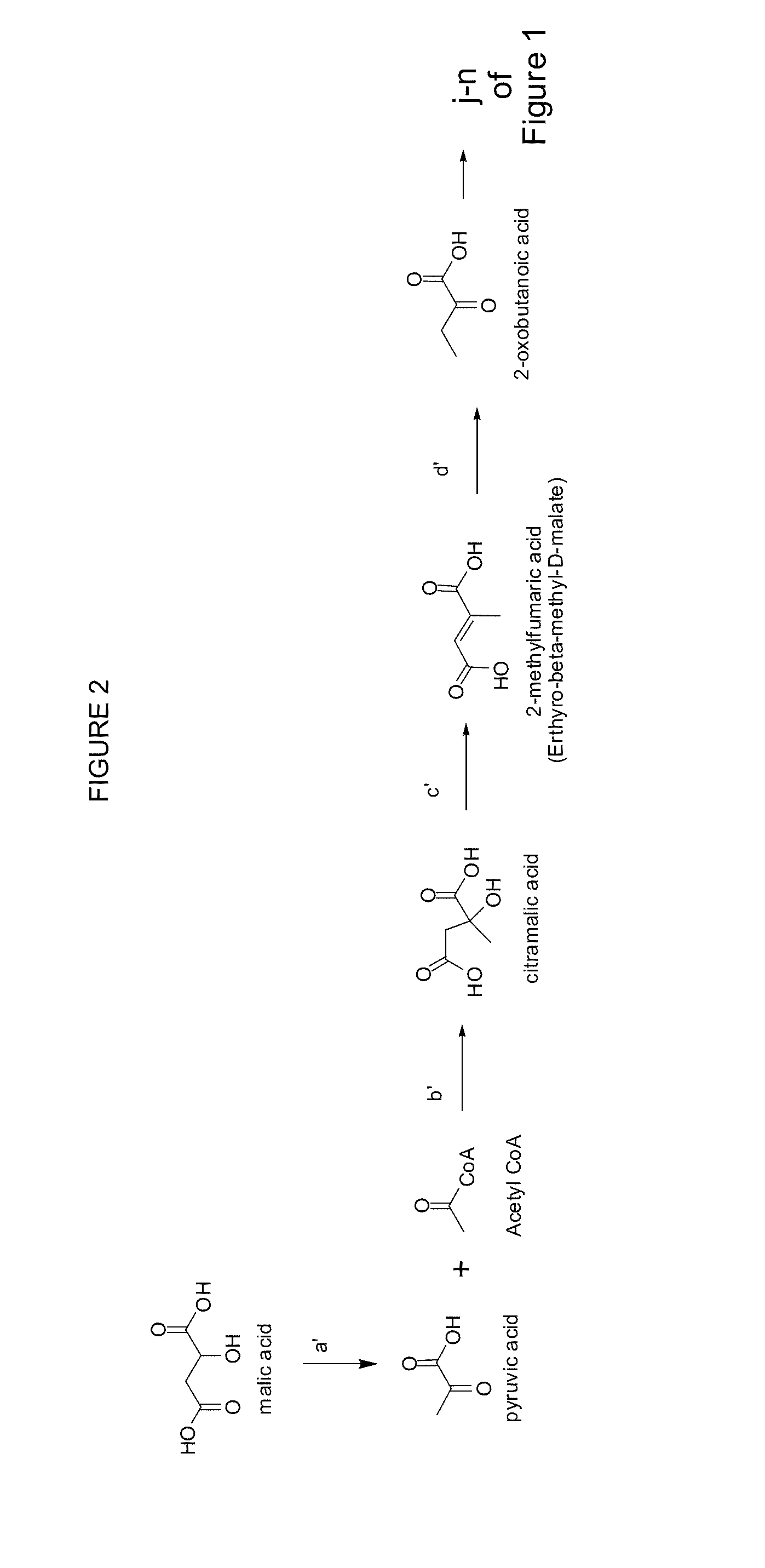 Methylbutanol as an advanced biofuel