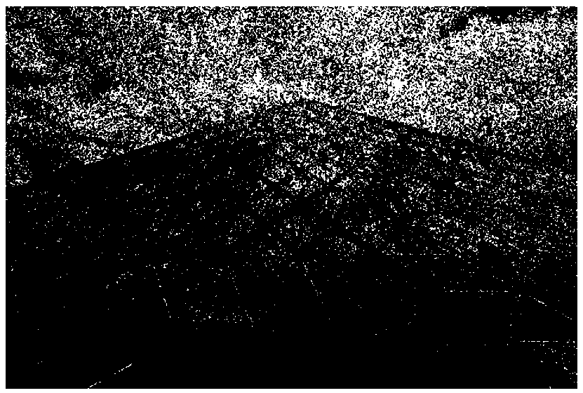 Image restoration system based on multilevel wavelet convolutional neural network