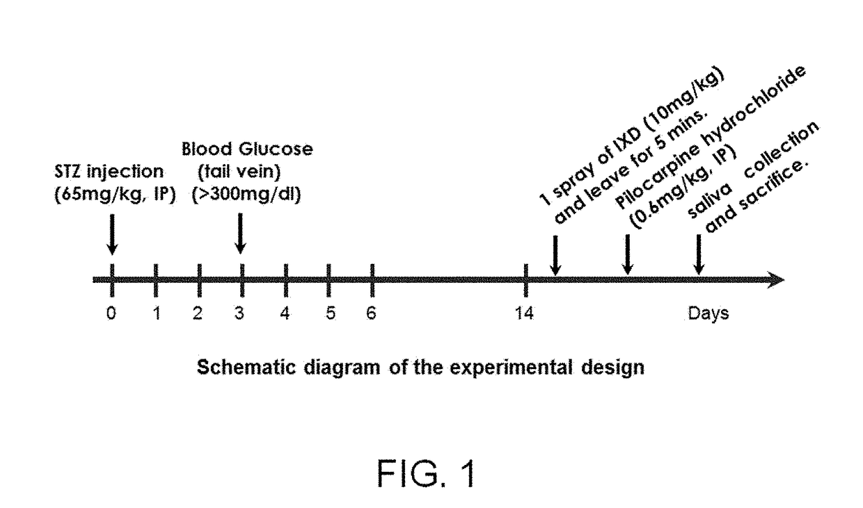 Oral spray containing ixeris dentata nakai extract as active ingredient for preventing or treating xerostomia caused by diabetes