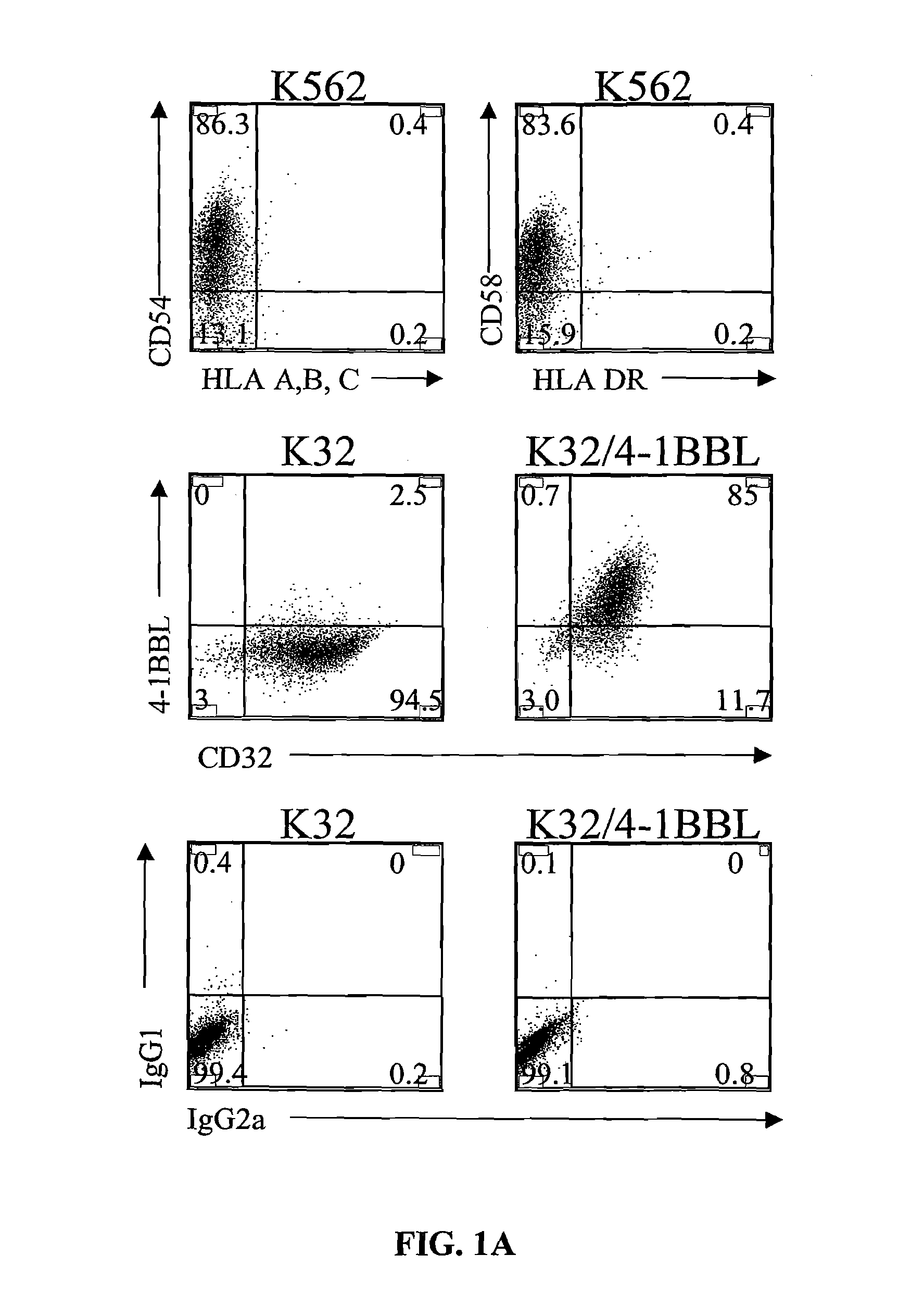 Activation and expansion of T-cells using an engineered multivalent signaling platform as a research tool