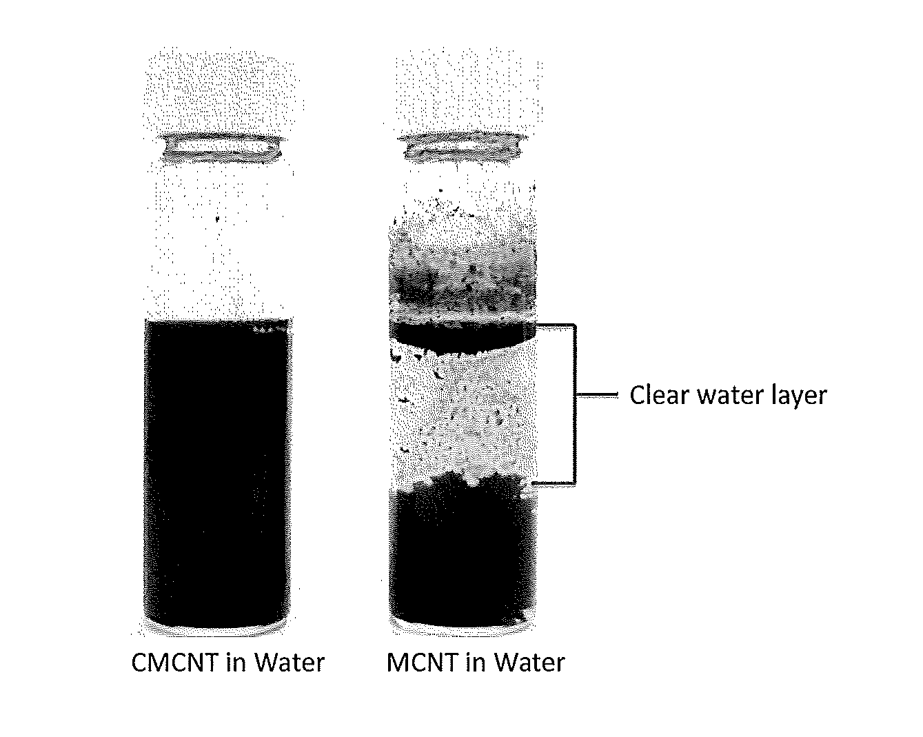 Vegetable oil-based polymers for nanoparticle surface modifcation