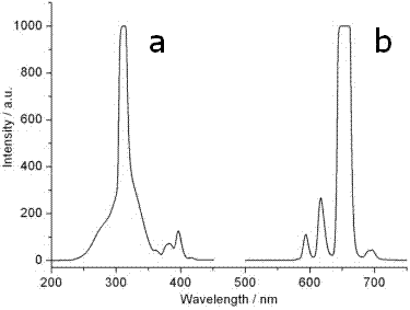 Polycarboxylic acid and europium complex luminescent material and preparation method thereof