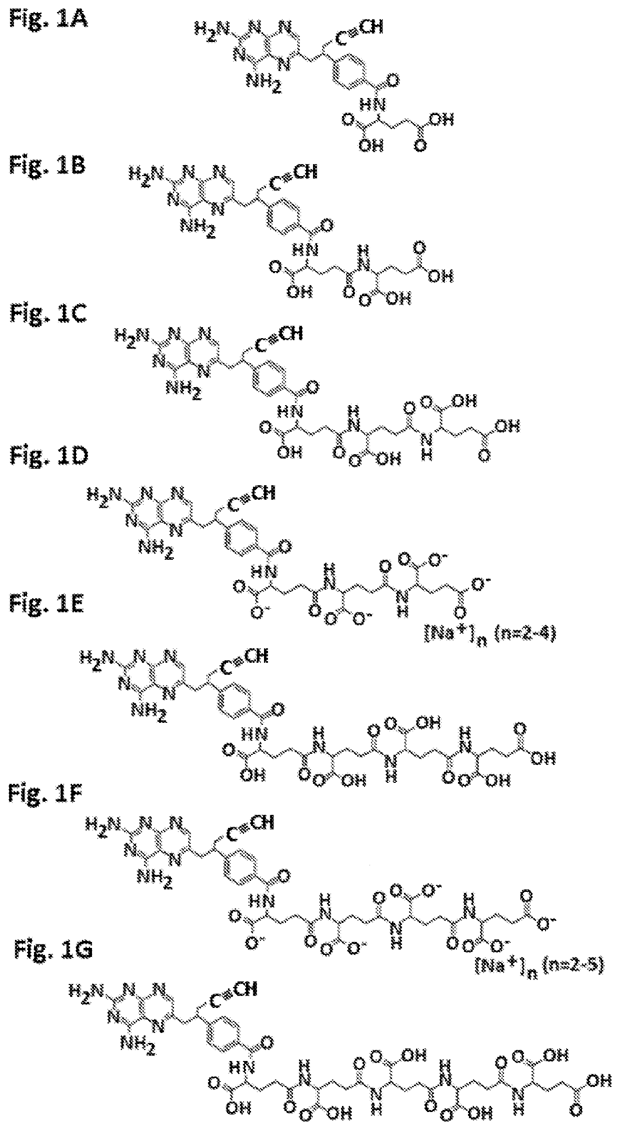 Gamma polyglutamated pralatrexate and uses thereof