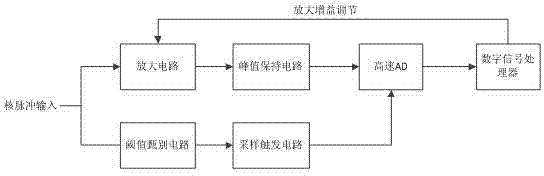 Nuclear impulse processing circuit