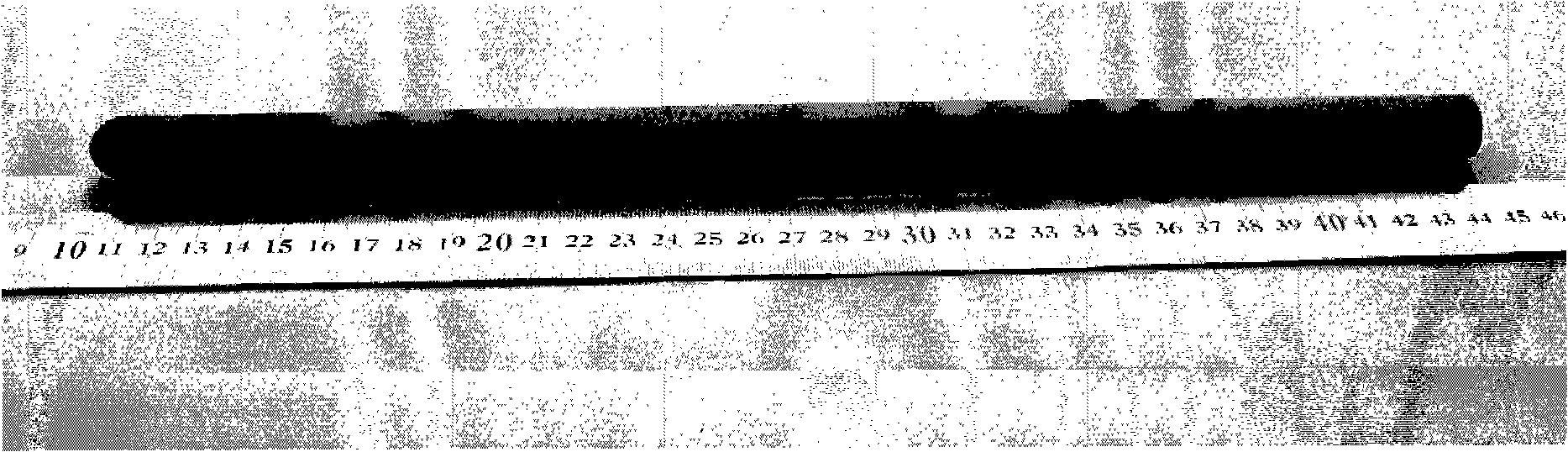 Large size tubular solid oxide fuel cell and preparation thereof