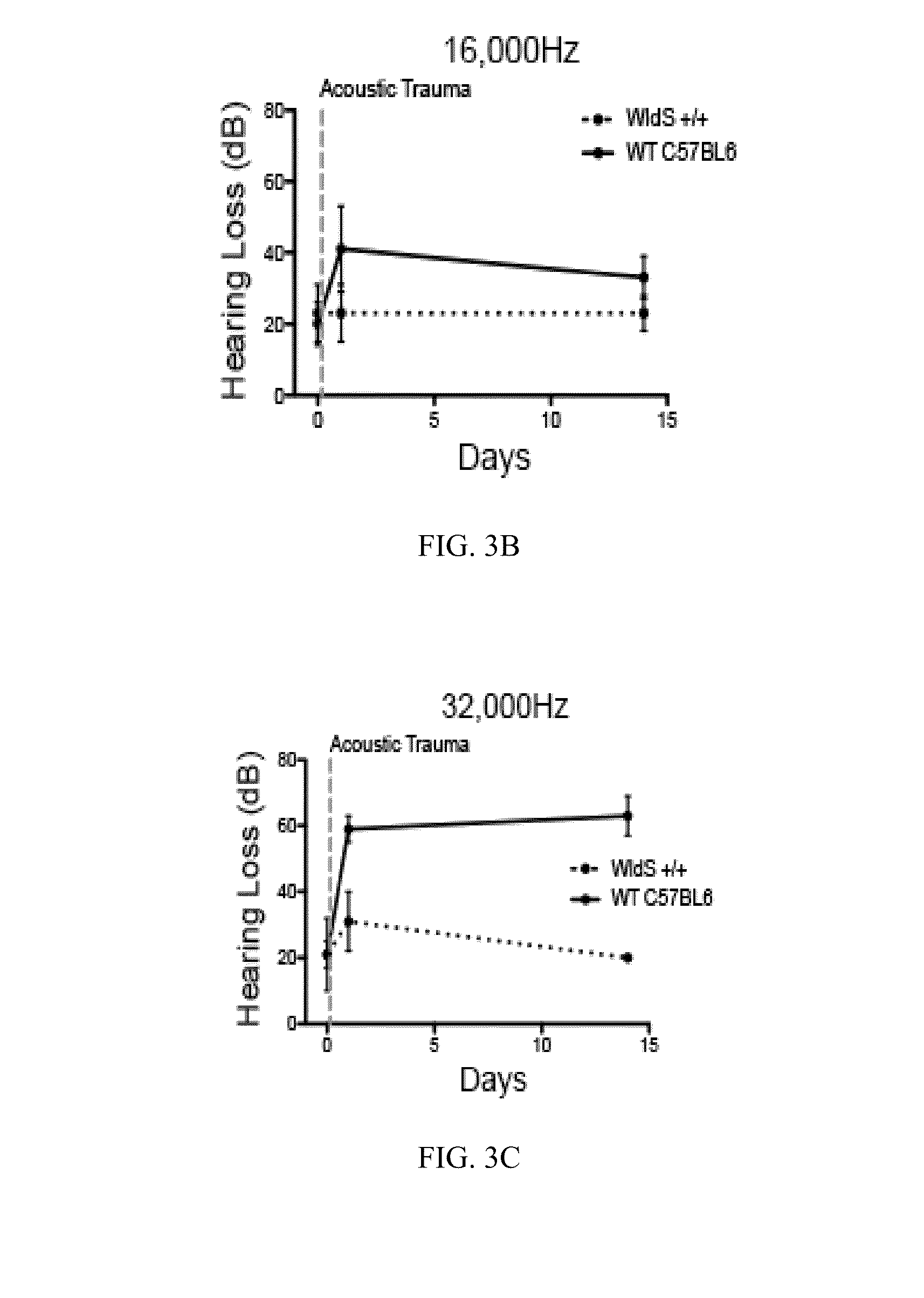 Use of nicotinamide riboside to treat hearing loss