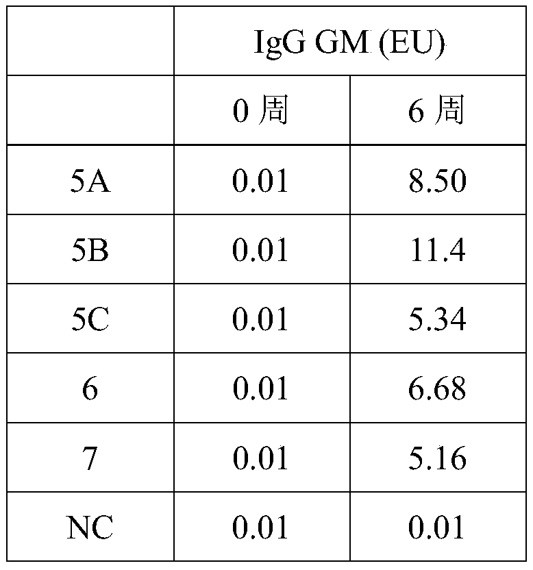 Immune combined preparation and preparation method and application thereof