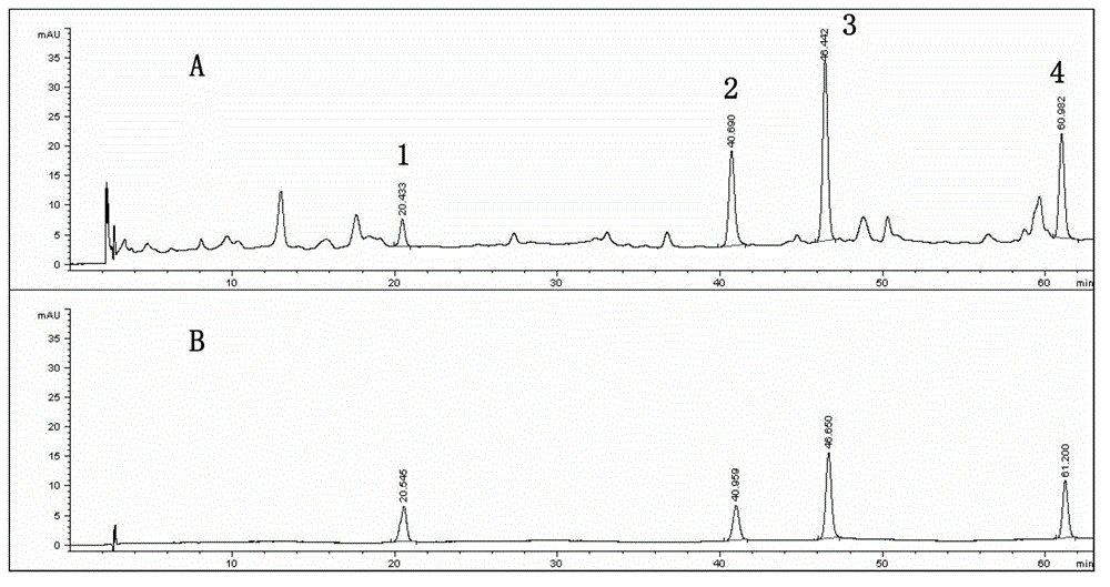 Method for quickly measuring content of flavonoid constituents in paniculata