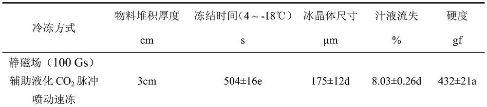 Static magnetic field assisted liquefied CO2 pulse spouting quick freezing device and pressurized efficient freezing method