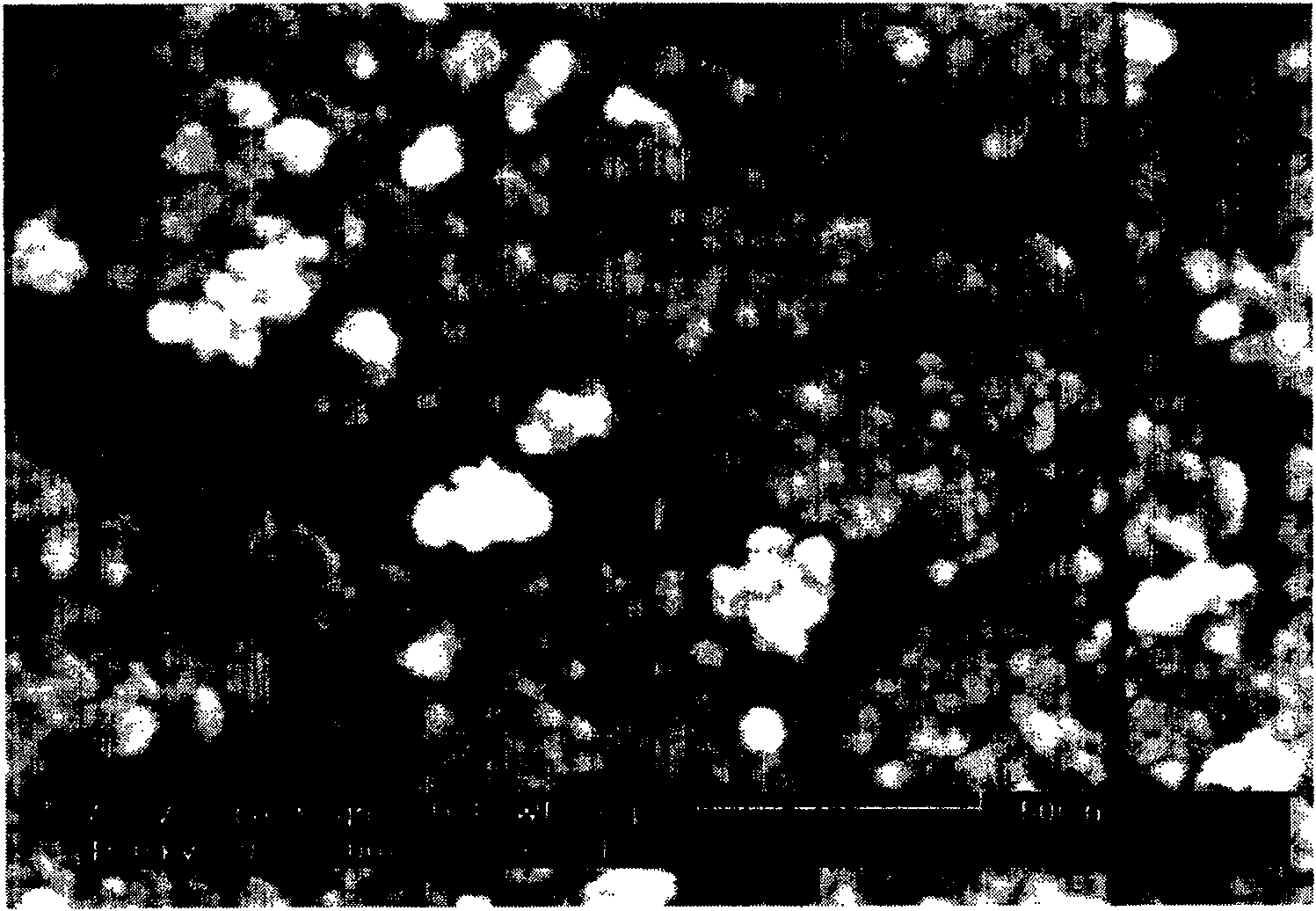 Weather-resistant rust-proof water paint and preparing method thereof