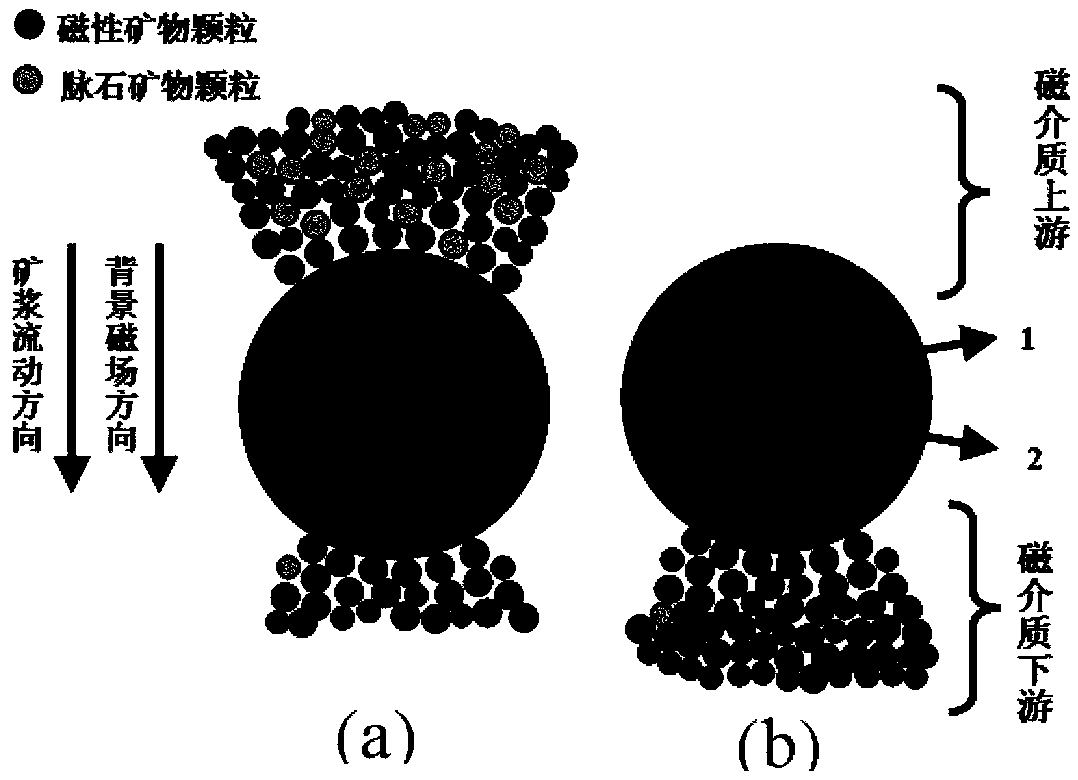 Combined magnetic media, magnetic medium pile, intermittent magnetic separation device, vertical ring high-gradient magnetic separator and methods for magnetic concentration