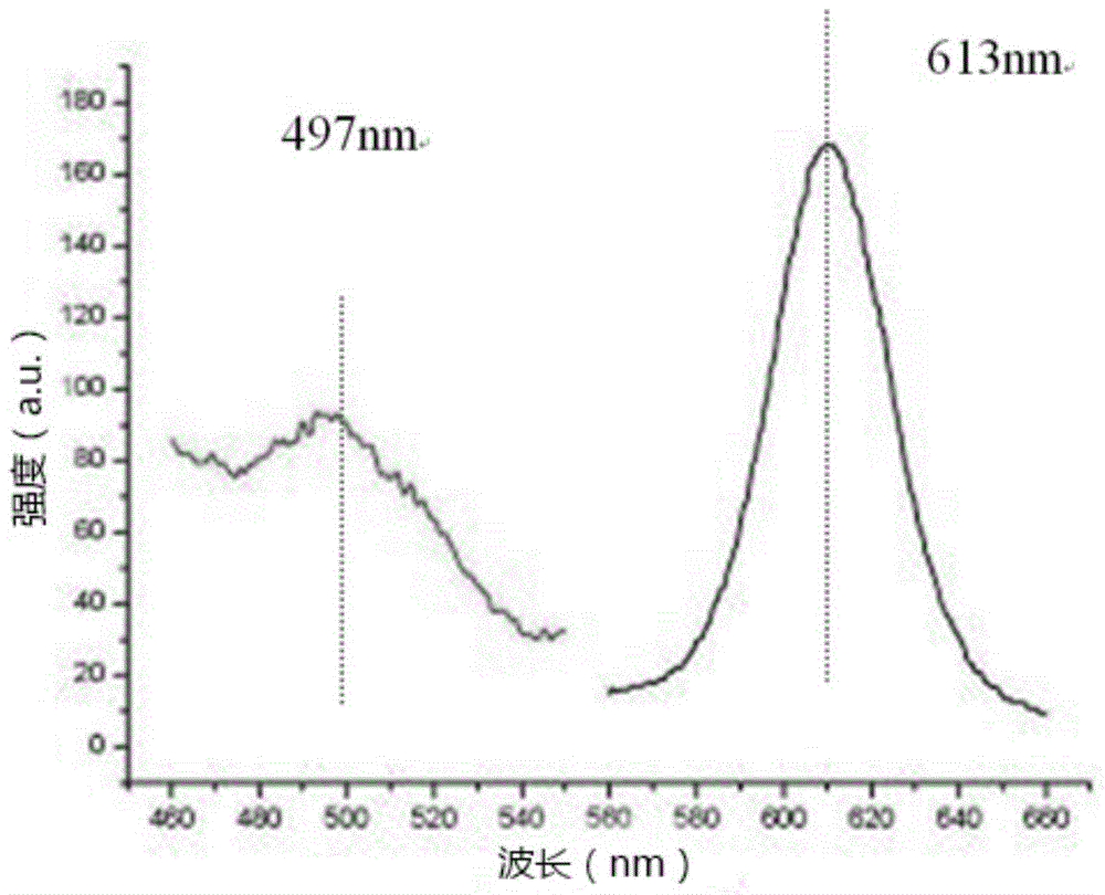 Preparation method for biocompatible quantum dots (QDs) and application of QDs