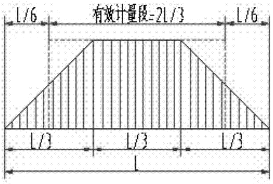 Self-linking type double-carrier roller weighing device