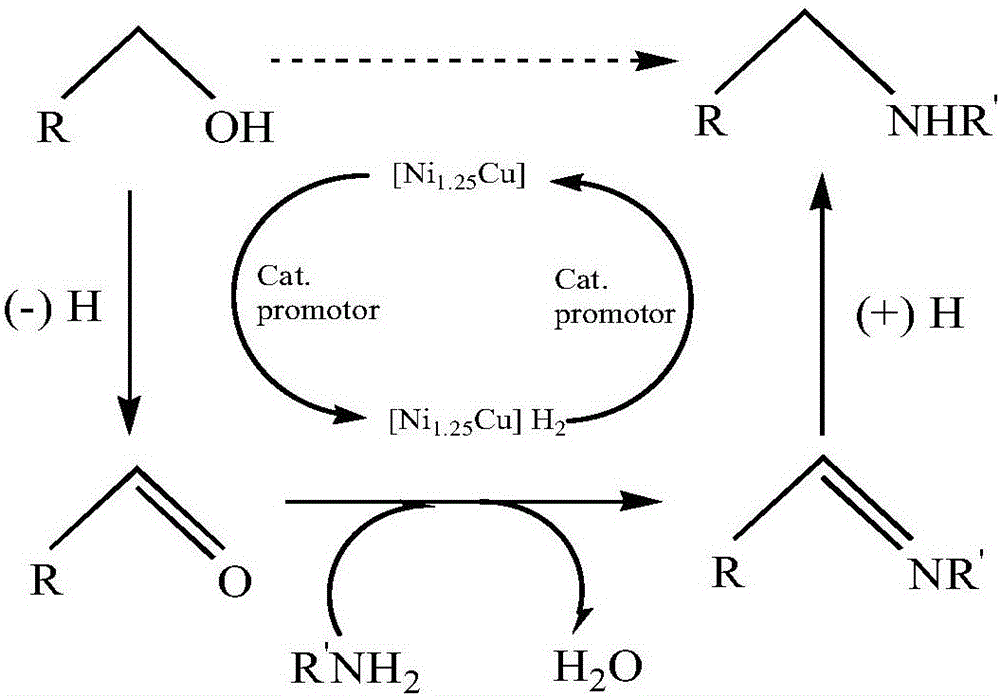 Catalyst used for catalyzing synthesis of aliphatic tertiary amine from primary amine or secondary amine and fatty alcohol as well as preparation and application of catalyst