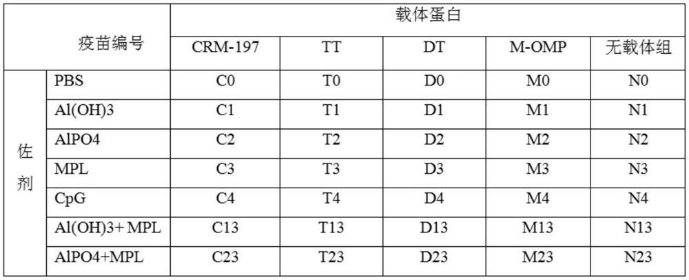 Polypeptide for preventing novel coronavirus pneumonia COVID-19, immunogenic conjugate and application thereof