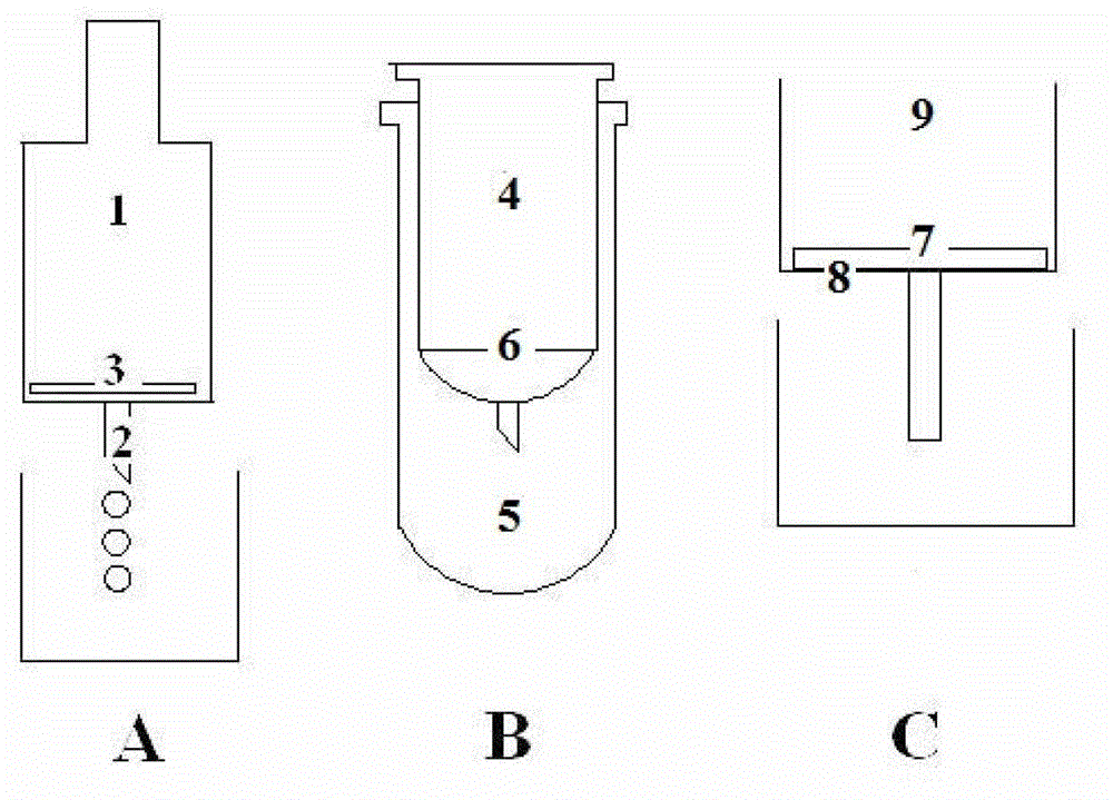 mRNA (messenger ribonucleic acid) quick-extraction kit