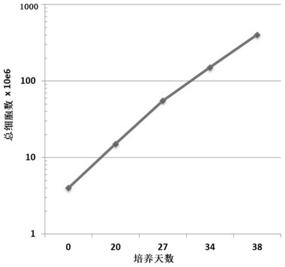 Methods for growing african swine fever virus in fetal porcine lung alveolar macrophage cells