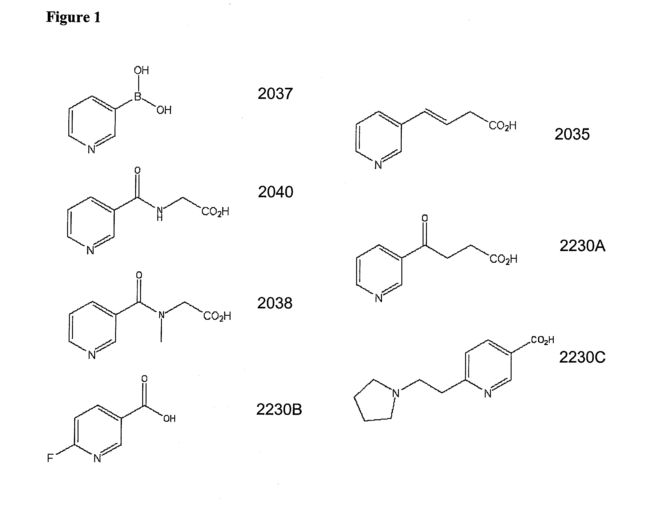 Non-Flushing Niacin Analogues, and Methods of Use Thereof