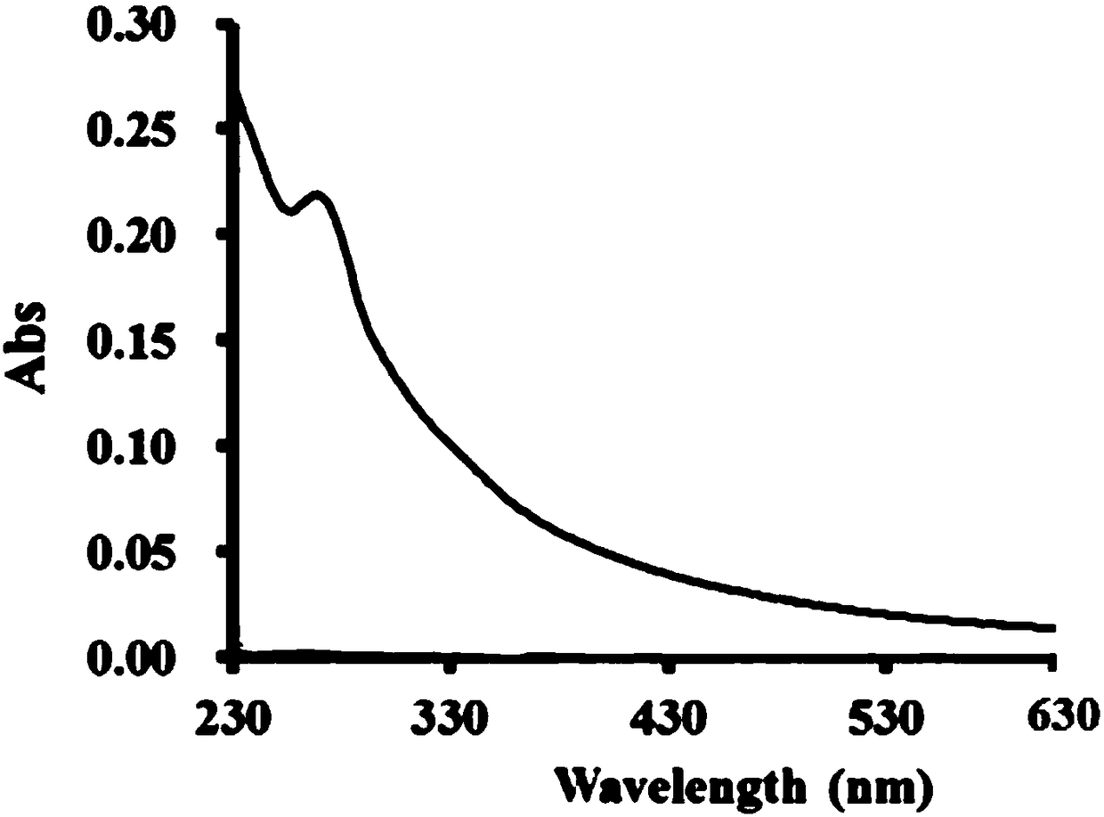 Positively-charged carbon dot, and preparation method and application thereof