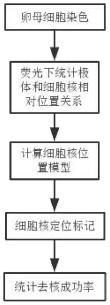 Augmented reality-based fixed-point de-kering method