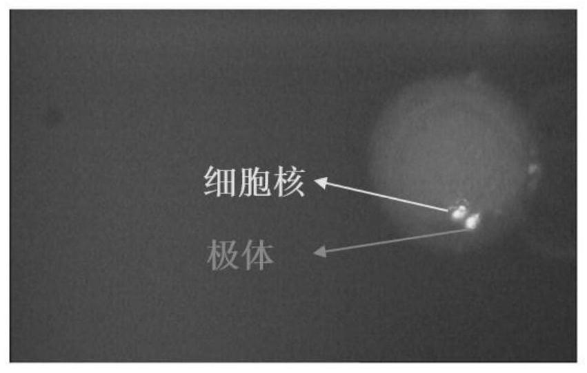 Augmented reality-based fixed-point de-kering method