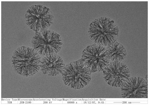 Preparation method for dendritic nano silicon particle