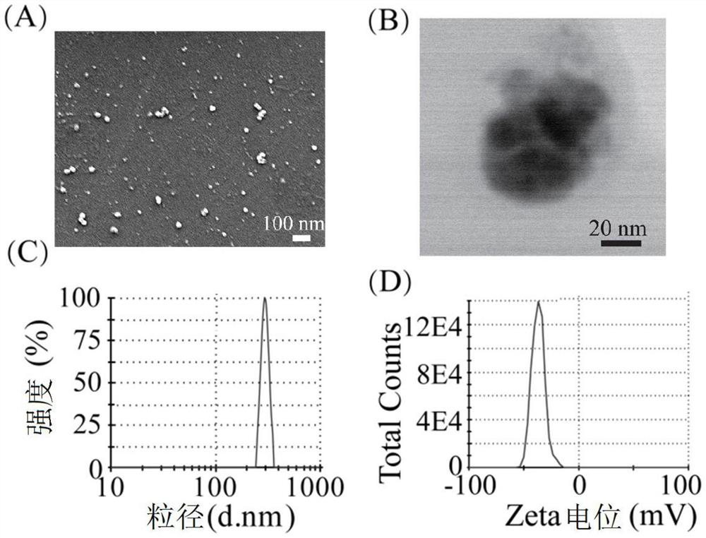 Magnetic Prussian blue-like materials and their preparation and application of adsorbing cesium ions