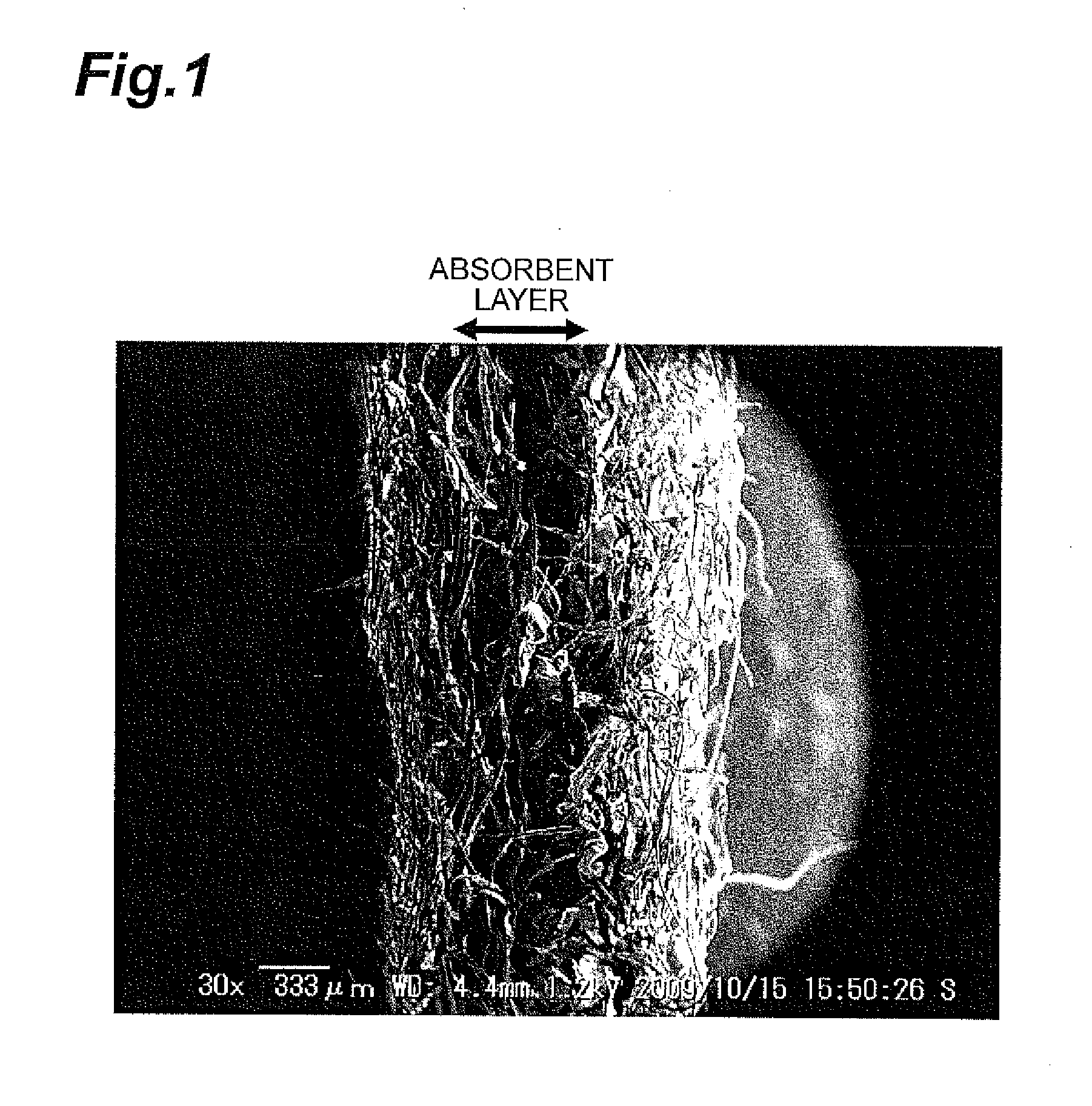 Absorbent Sheet and Method for Producing Same