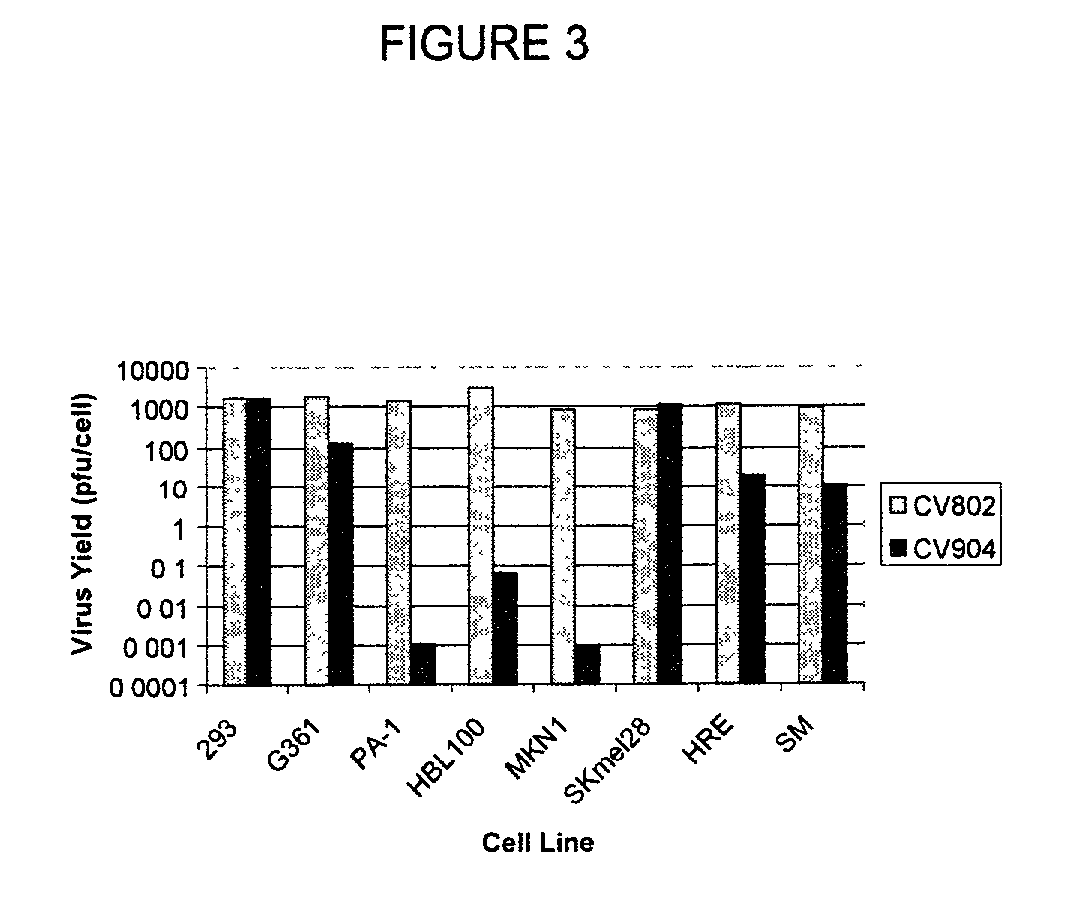 Recombinant oncolytic adenovirus for human melanoma