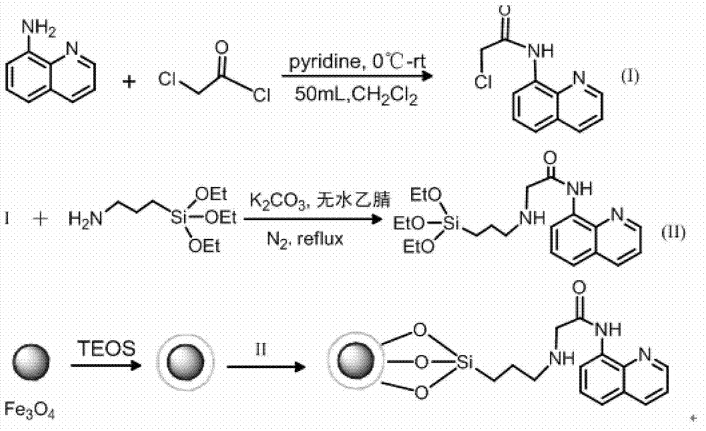 Method for preparing fluorescent and magnetic resonance dual-functional nanometer super-paramagnetic particles for detecting life system