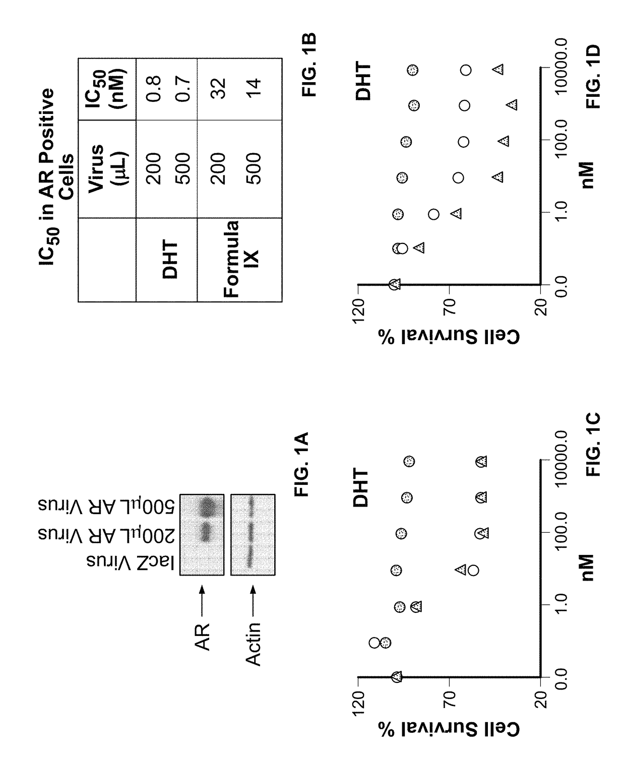 Method of treating estrogen receptor (ER)-positive breast cancers with selective androgen receptor modulator (SARMS)