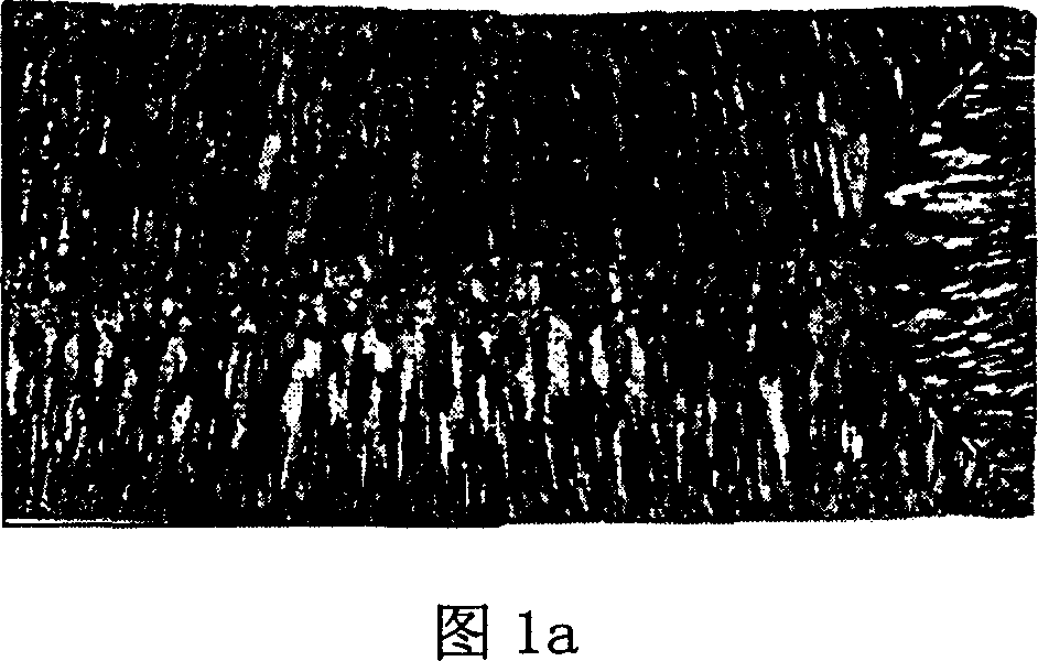 Method of applying electric field energy on molten steel to improve quality of silicon steel billet