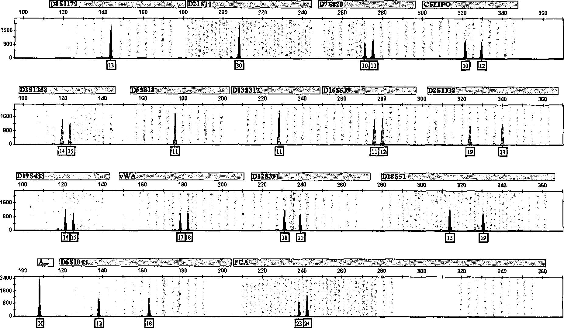 Composite STR detection method with improved resolving ability in Chinese crowd and kit