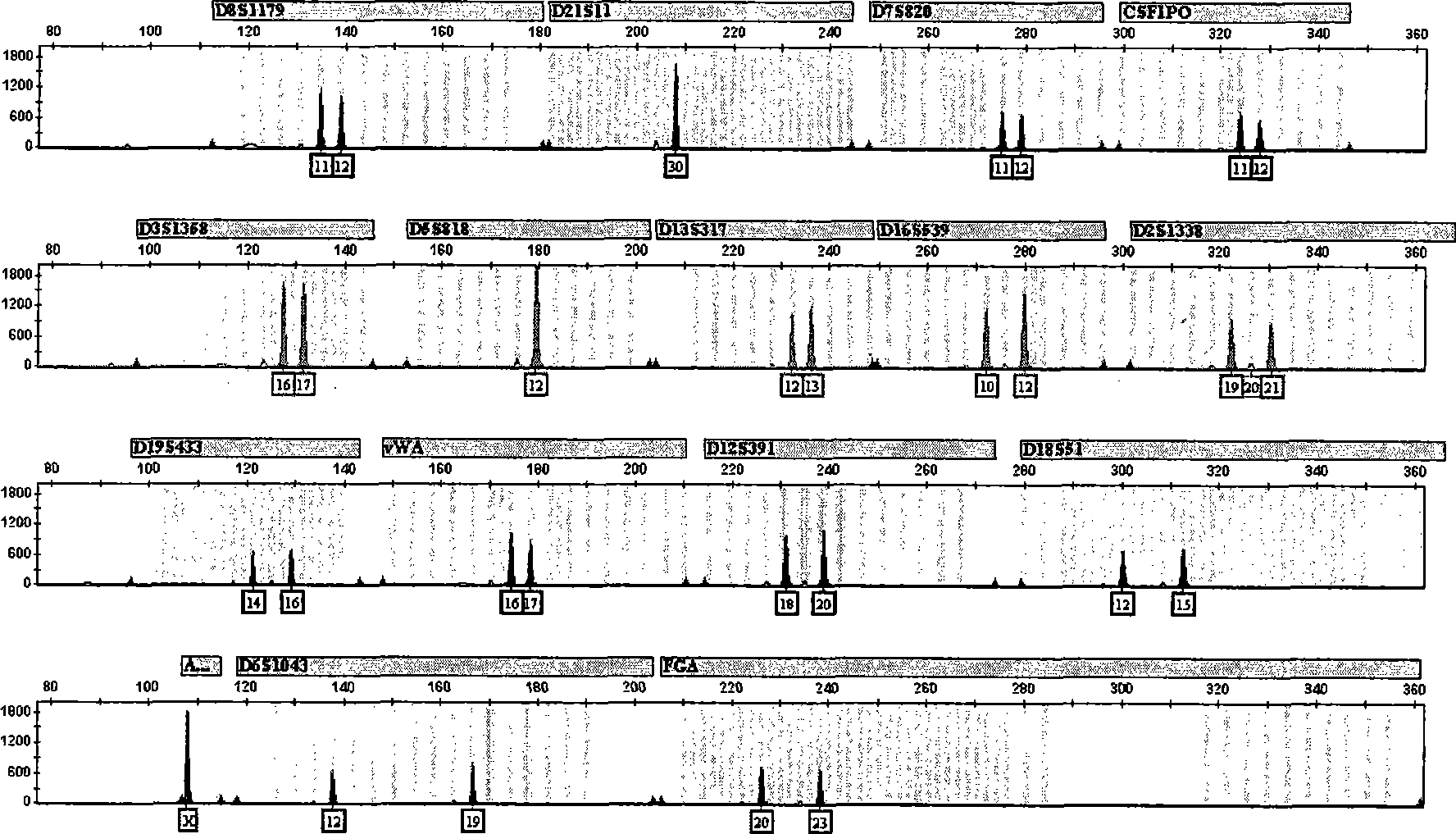 Composite STR detection method with improved resolving ability in Chinese crowd and kit