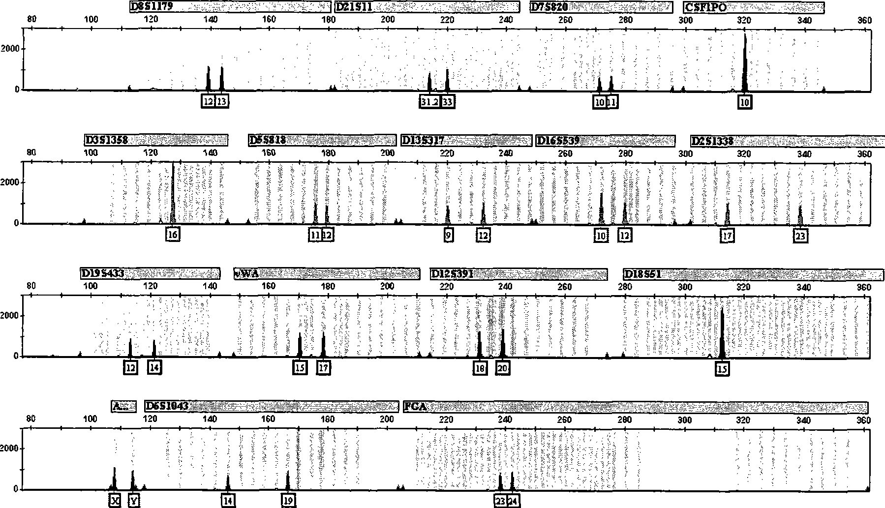 Composite STR detection method with improved resolving ability in Chinese crowd and kit