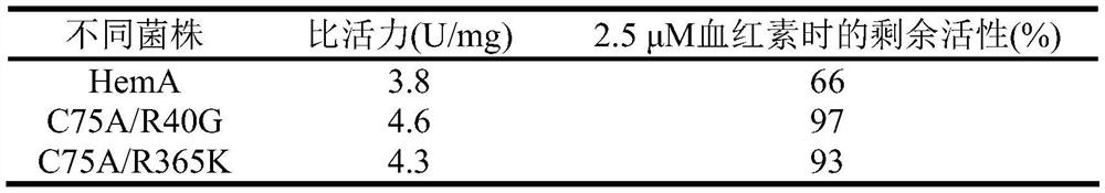 5-aminolevulinic acid synthetase mutant as well as host cell and application thereof