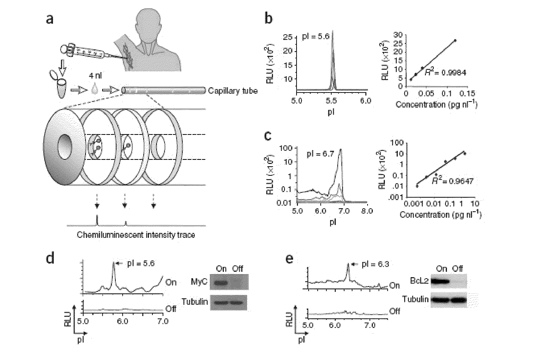 Discovery and validation of cancer biomarkers using a protein analysis methodology to analyze specimens