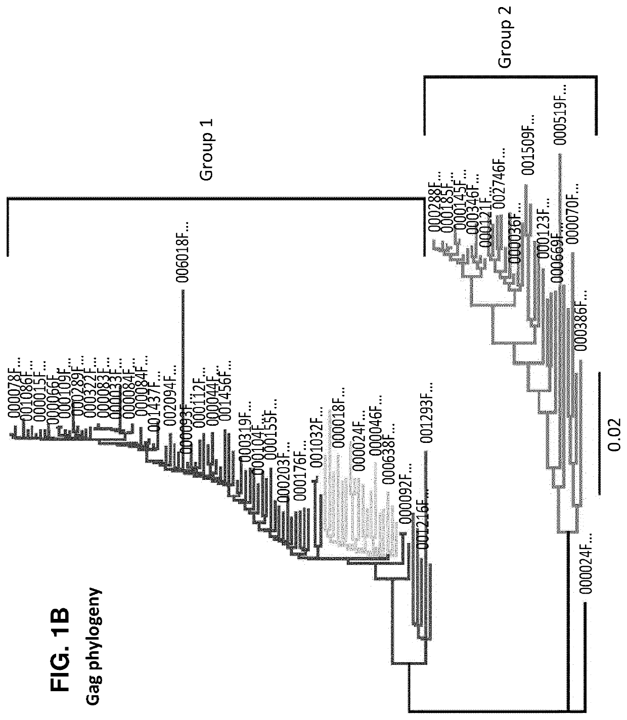 Characterization and inactivation of endogenous retroviruses in chinese hamster ovary cells