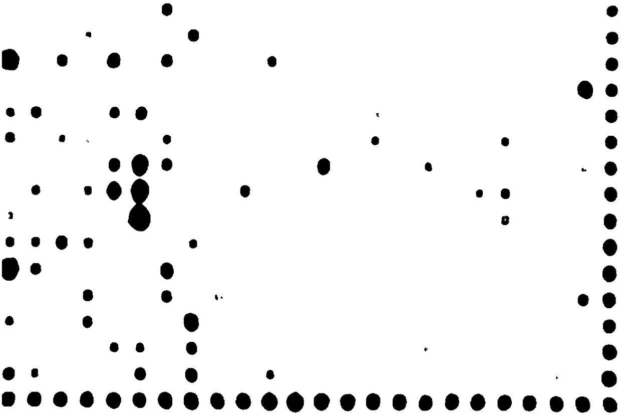 Transcription factor chip kit and method for high throughput screening of target gene transcription factor