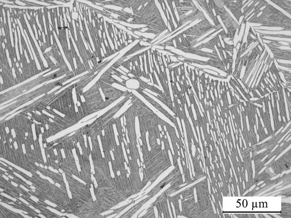 Heat treatment method for obtaining titanium alloy with high damage tolerance