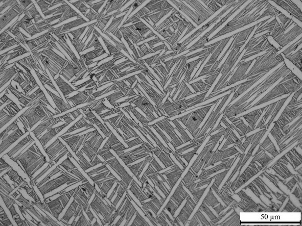 Heat treatment method for obtaining titanium alloy with high damage tolerance