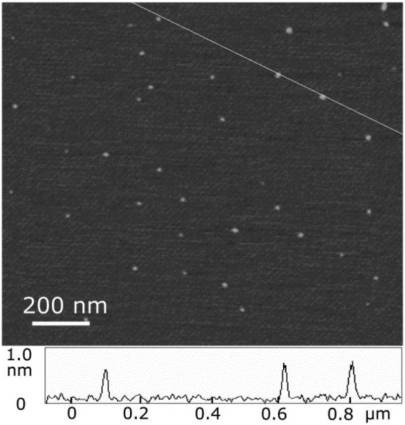 Chiral graphene quantum dot and preparation method and application