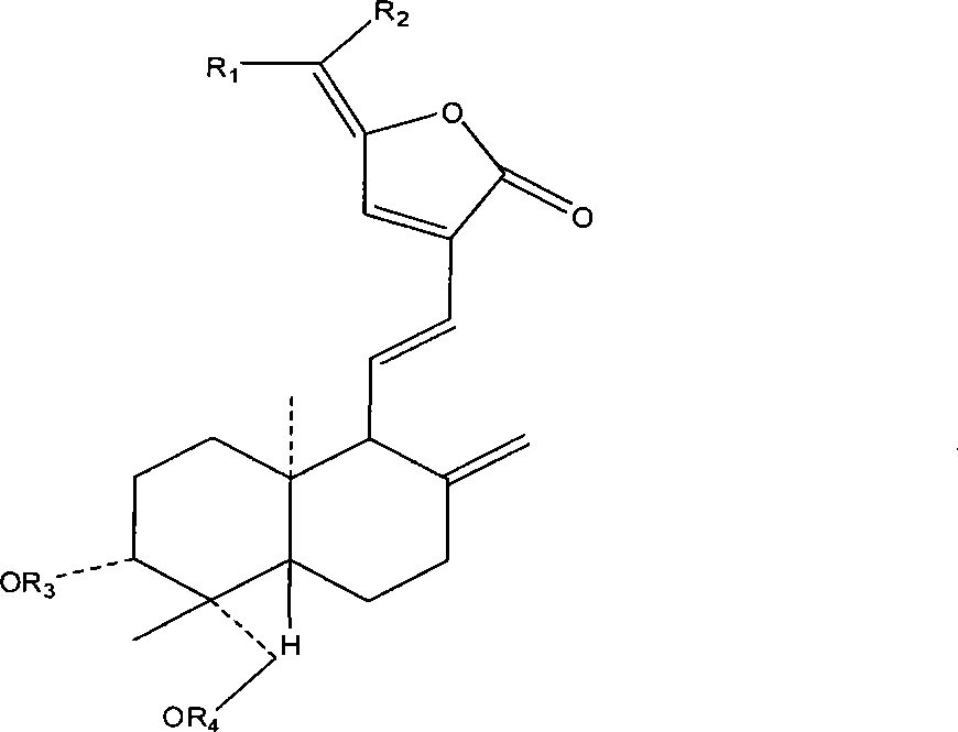 Use of 15-methano-substituted-andrographolide derivative in preparing anti-hepatitis B medicine