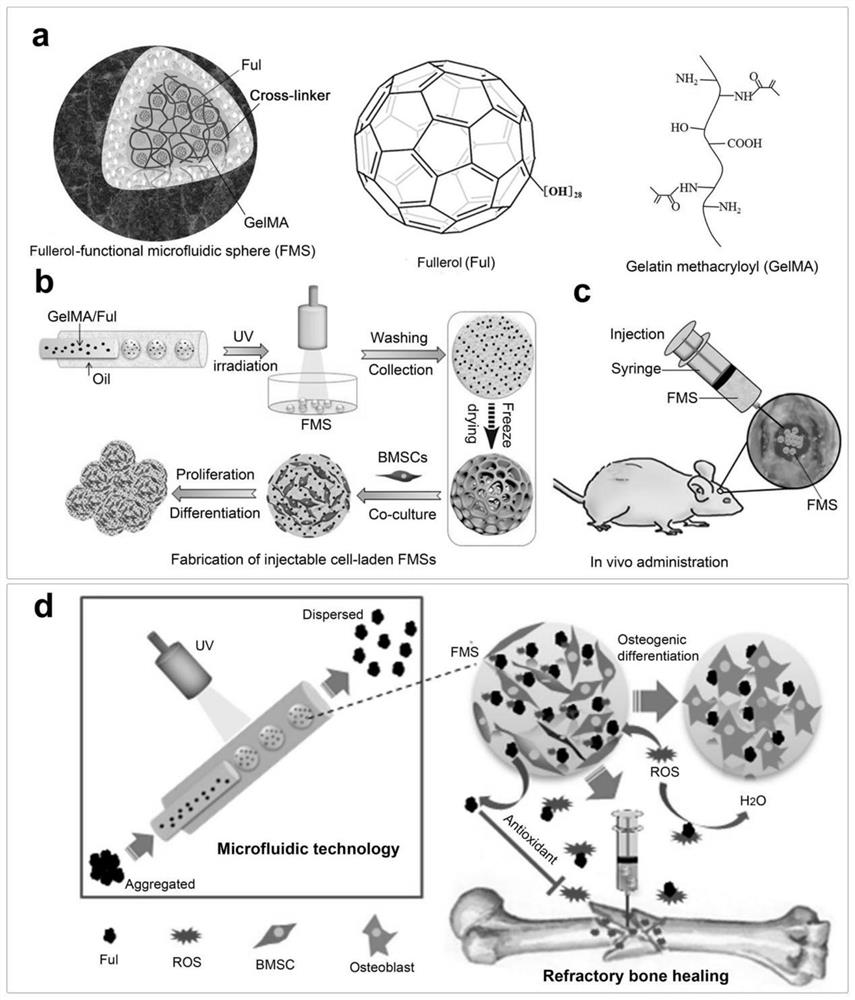 Injectable hydrogel microsphere for treating orthopedic diseases as well as preparation method and application thereof